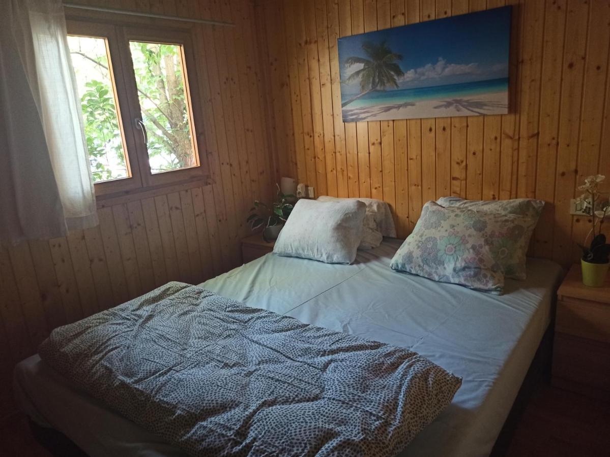 波尔莱扎Chalet Seaesta Comfort Lago Di Lugano别墅 外观 照片